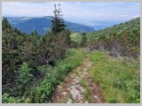 Slika_100.webp