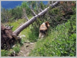 Slika_104.webp