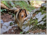 Slika_113.webp