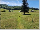 Slika_116.webp