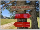 Slika_117.webp