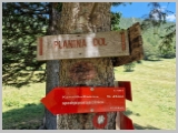 Slika_129.webp