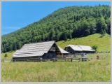 Slika_130.webp