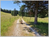 Slika_131.webp