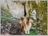 Slika_136.webp