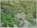 Slika_140.webp