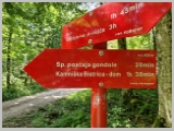 Slika_143.webp