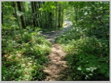 Slika_147.webp