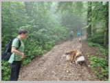 Slika_003.webp