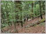 Slika_012.webp