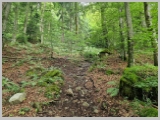 Slika_013.webp