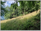 Slika_016.webp