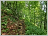 Slika_019.webp