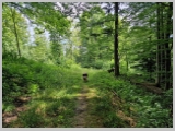 Slika_020.webp