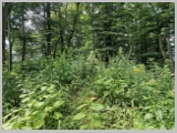 Slika_022.webp