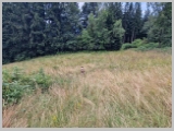 Slika_032.webp
