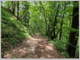 Slika_048.webp