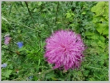 Slika_050.webp