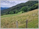 Slika_051.webp