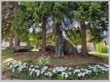 Slika_001.webp