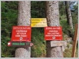 Slika_005.webp