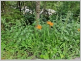Slika_007.webp