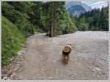 Slika_018.webp