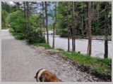 Slika_021.webp