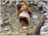 Slika_025.webp