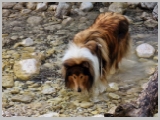 Slika_026.webp