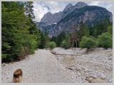 Slika_030.webp