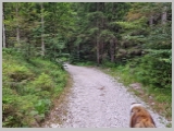 Slika_034.webp