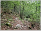 Slika_043.webp