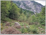 Slika_045.webp