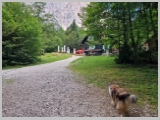 Slika_046.webp