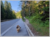 Slika_005.webp