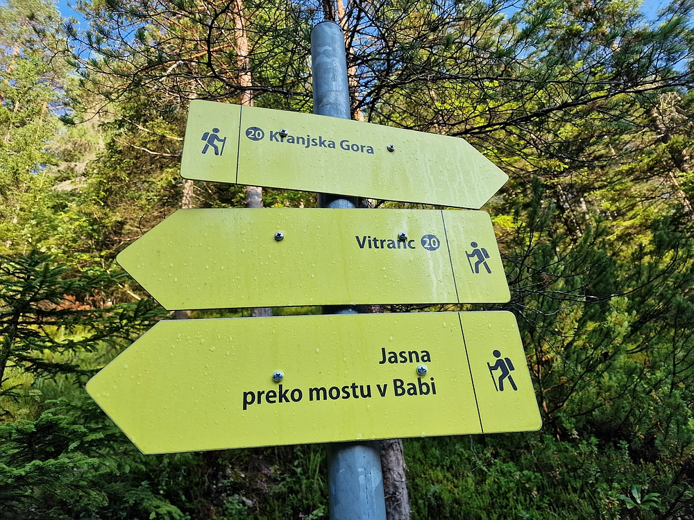 Slika je vidna v Google Chromu.