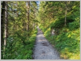 Slika_009.webp