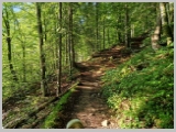 Slika_010.webp