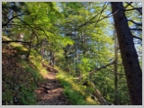 Slika_014.webp