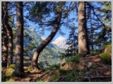 Slika_017.webp