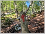 Slika_027.webp