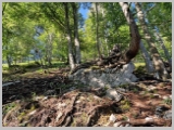 Slika_028.webp