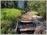 Slika_030.webp