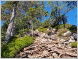 Slika_036.webp