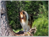 Slika_044.webp