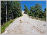 Slika_048.webp