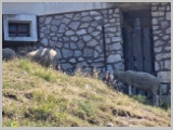 Slika_052.webp