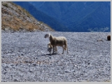 Slika_053.webp