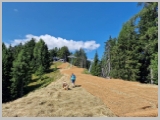 Slika_057.webp